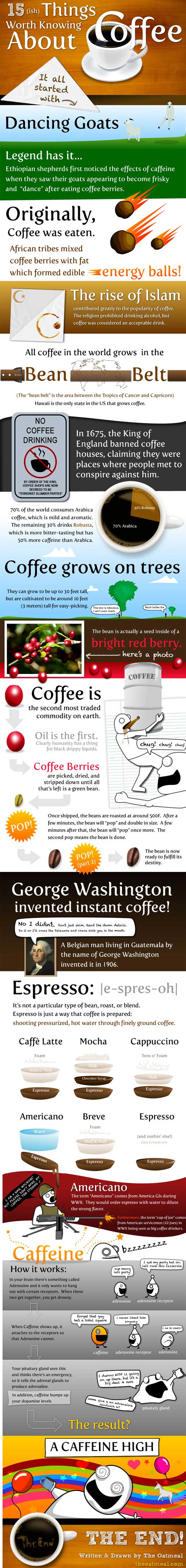 15 Things Worth Knowing About Coffee